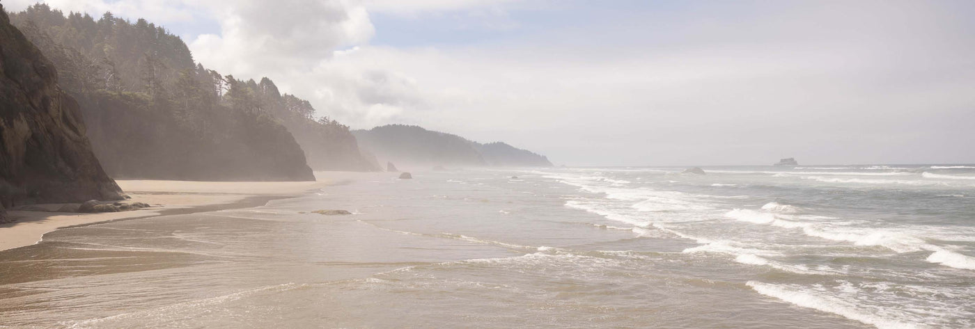 Beach scene with ocean waves and misty atmosphere